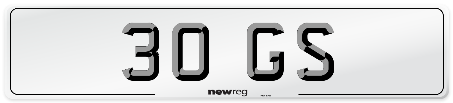 30 GS Front Number Plate