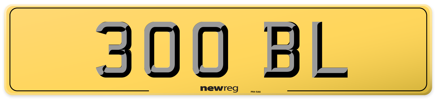 300 BL Rear Number Plate