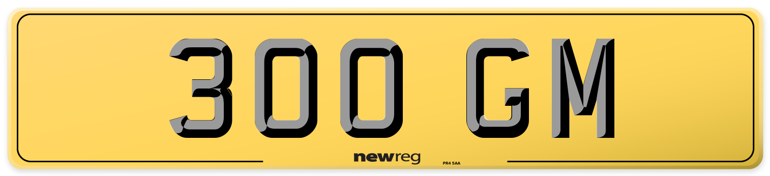 300 GM Rear Number Plate