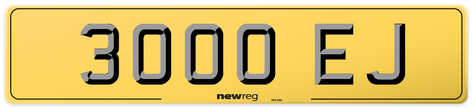 3000 EJ Rear Number Plate