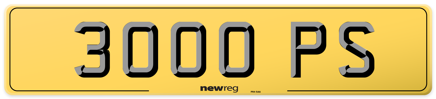 3000 PS Rear Number Plate