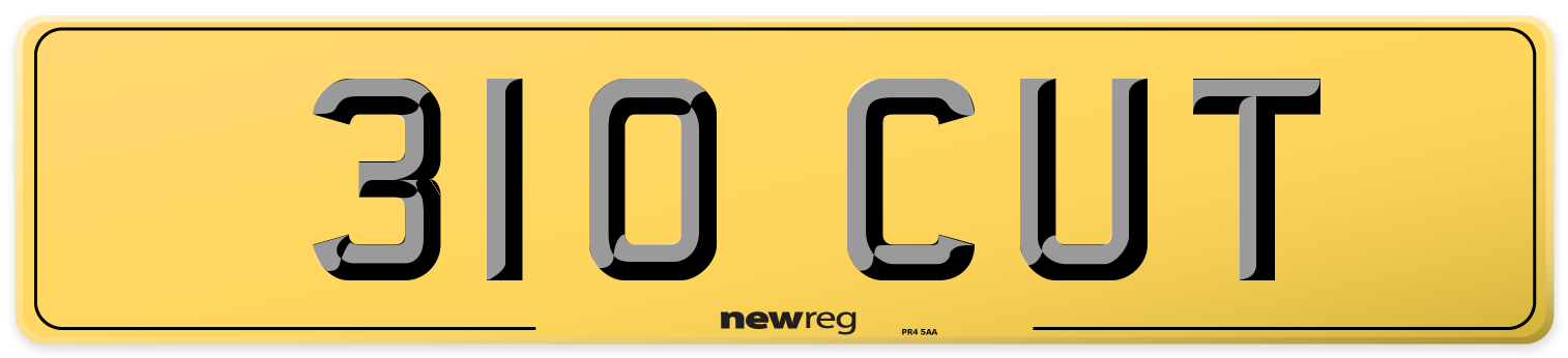 310 CUT Rear Number Plate