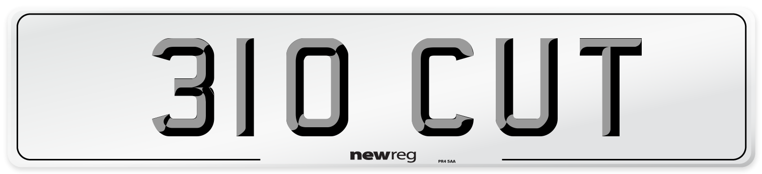 310 CUT Front Number Plate