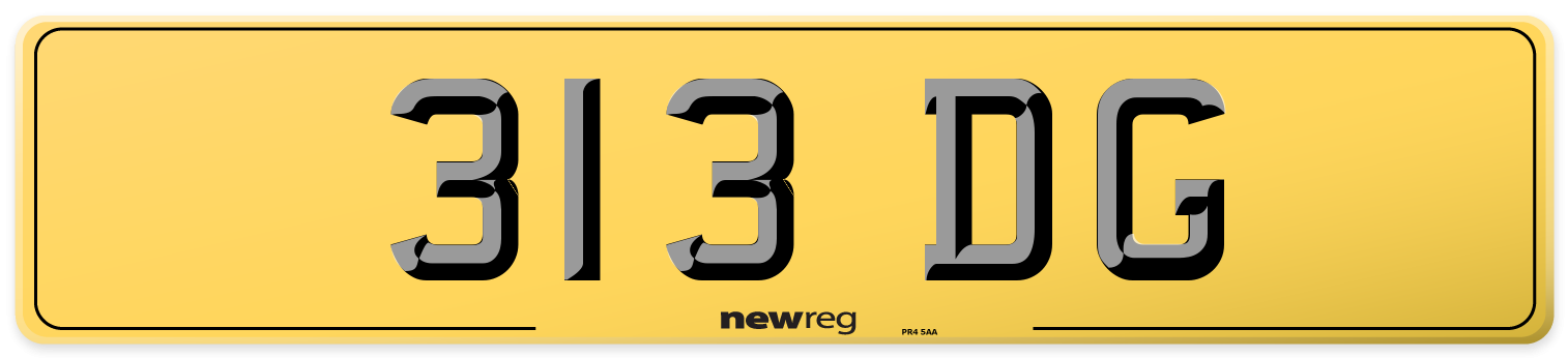 313 DG Rear Number Plate