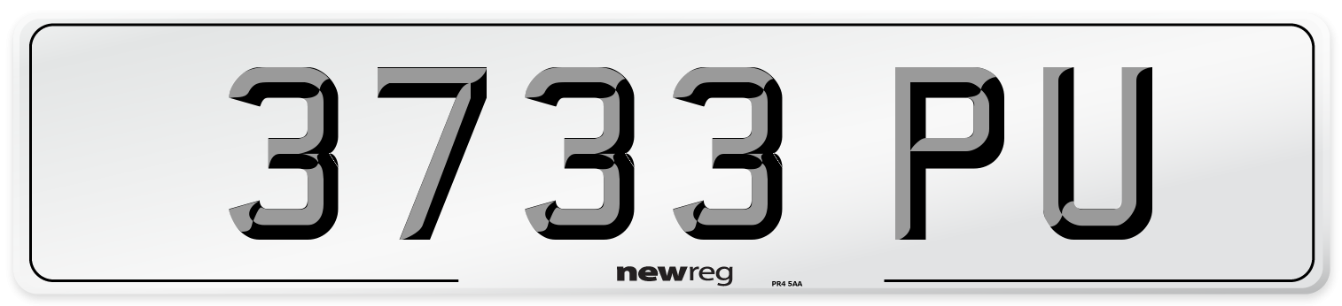 3733 PU Front Number Plate