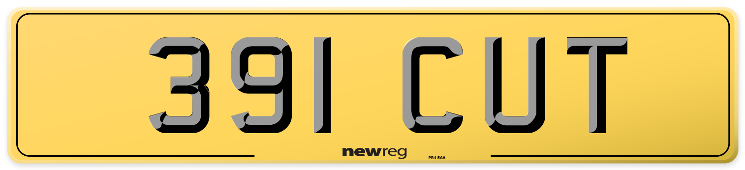 391 CUT Rear Number Plate