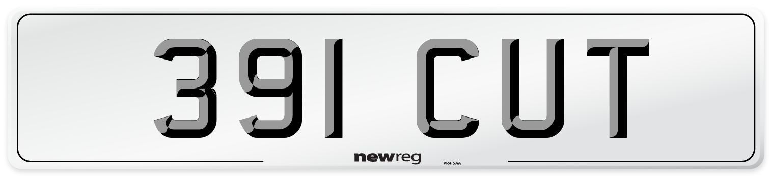 391 CUT Front Number Plate