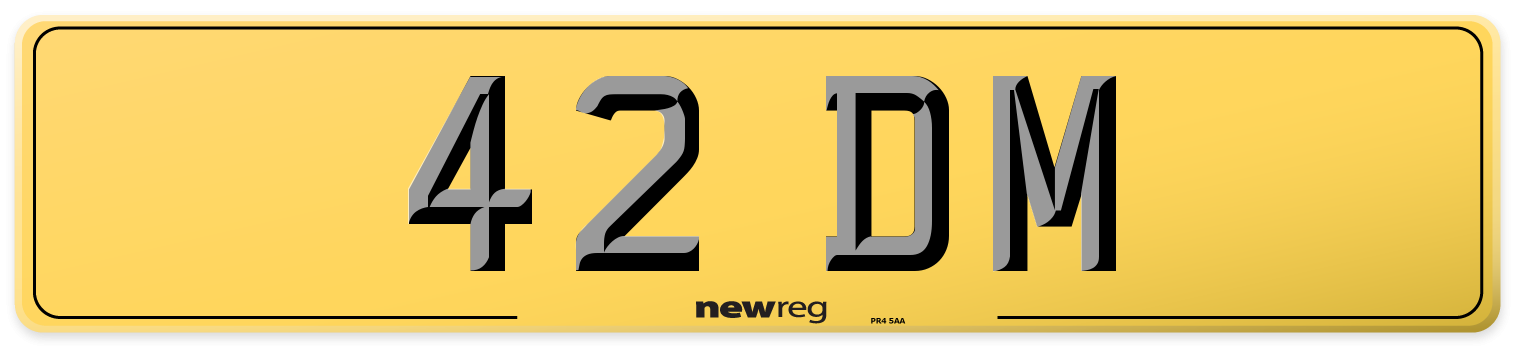 42 DM Rear Number Plate