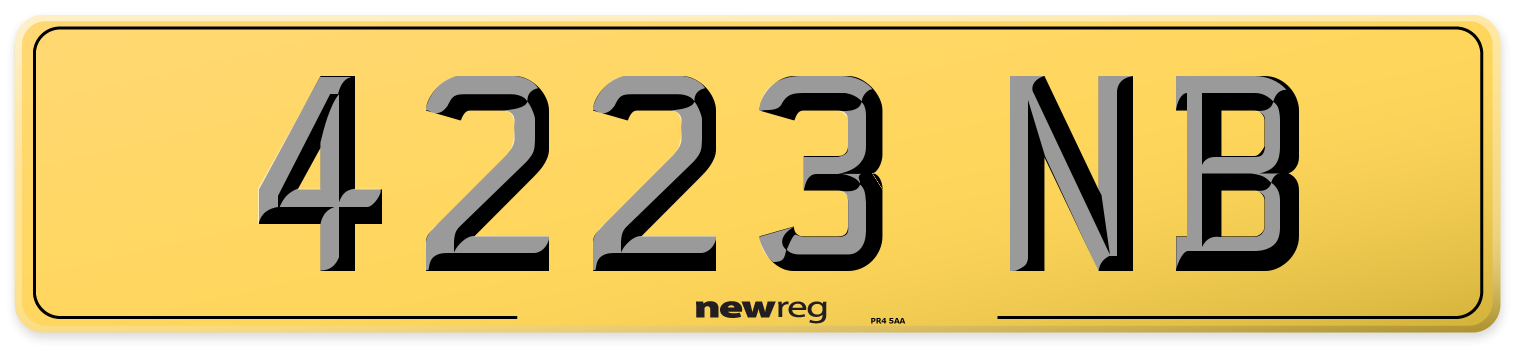 4223 NB Rear Number Plate
