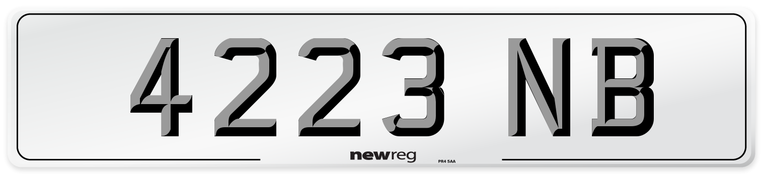 4223 NB Front Number Plate