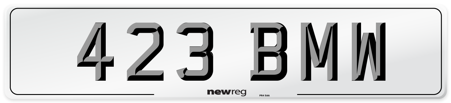 423 BMW Front Number Plate