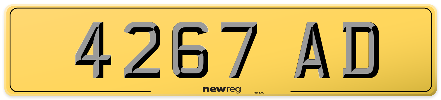 4267 AD Rear Number Plate