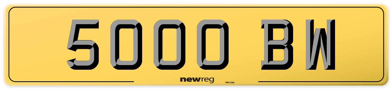 5000 BW Rear Number Plate