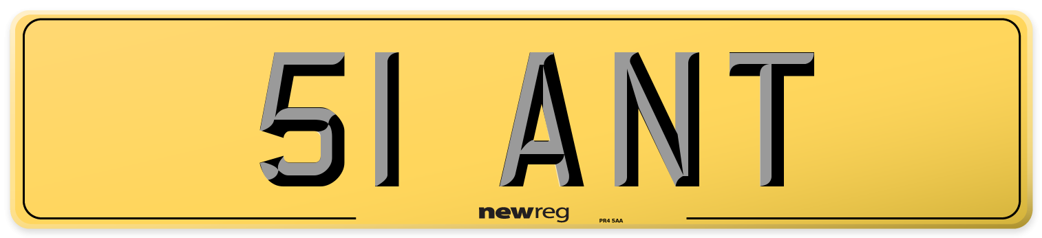 51 ANT Rear Number Plate