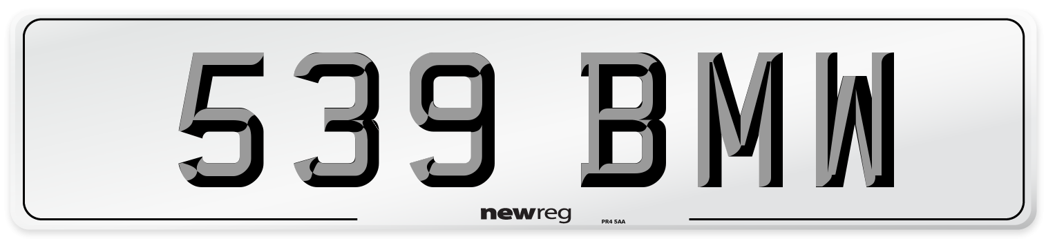 539 BMW Front Number Plate