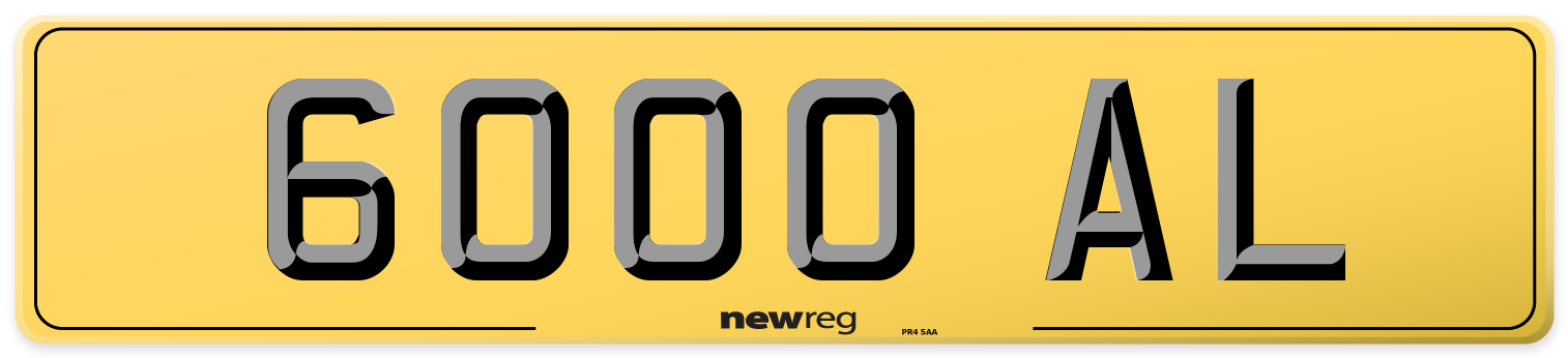 6000 AL Rear Number Plate