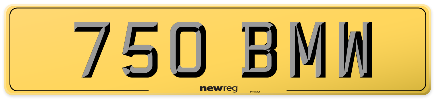 750 BMW Rear Number Plate