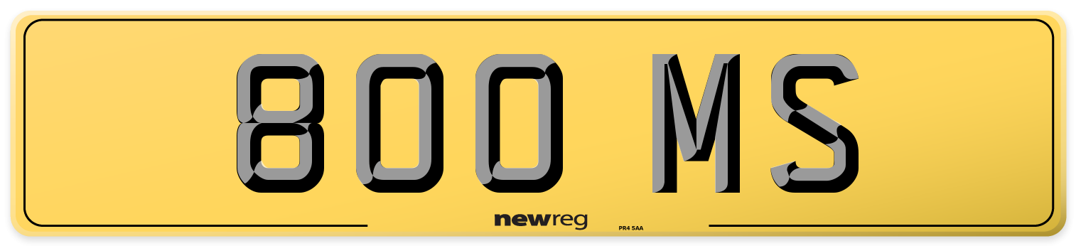 800 MS Rear Number Plate