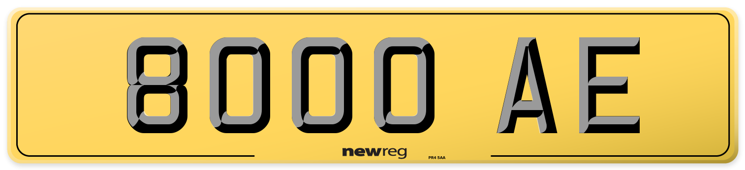 8000 AE Rear Number Plate