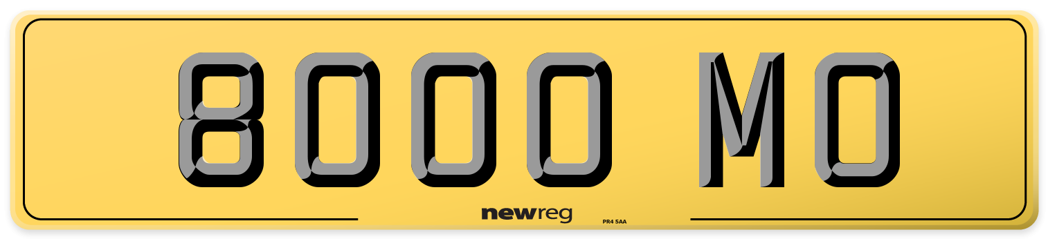 8000 MO Rear Number Plate