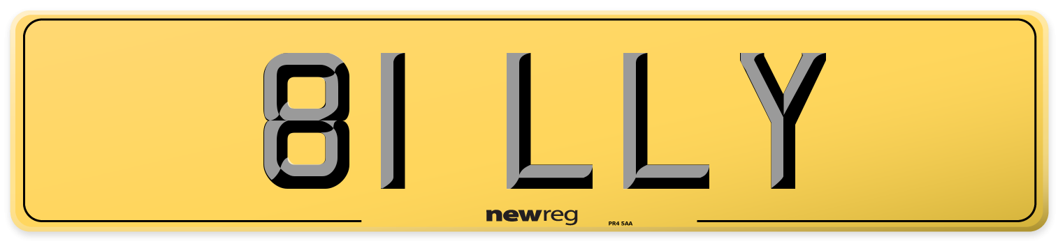 81 LLY Rear Number Plate