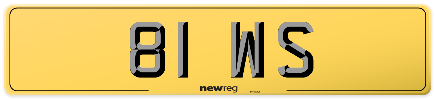 81 WS Rear Number Plate