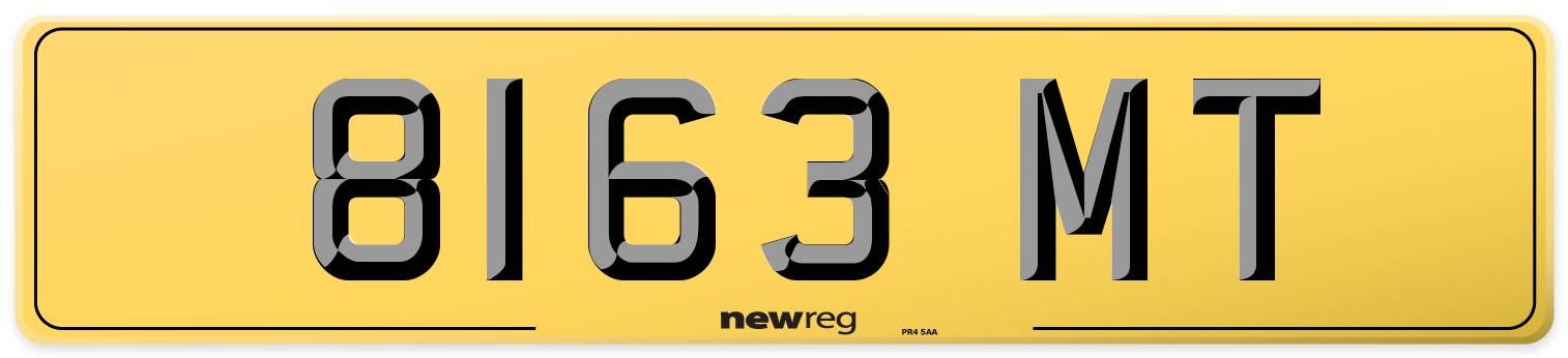 8163 MT Rear Number Plate