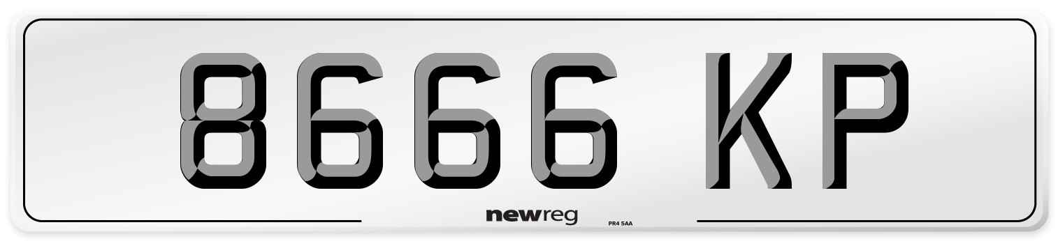 8666 KP Front Number Plate