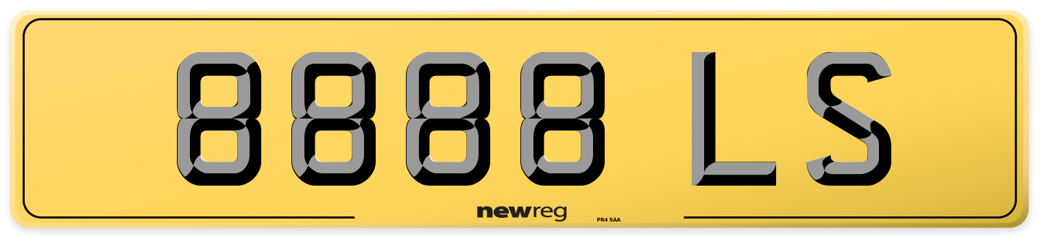 8888 LS Rear Number Plate