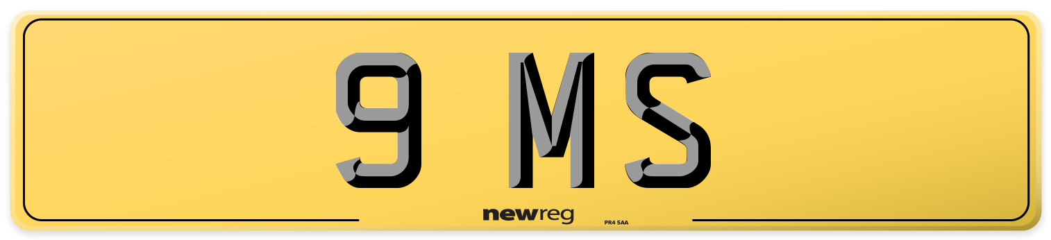 9 MS Rear Number Plate