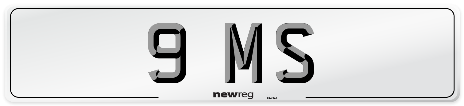 9 MS Front Number Plate