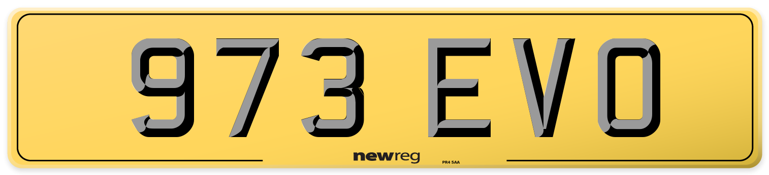 973 EVO Rear Number Plate