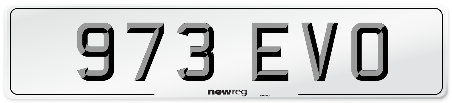 973 EVO Front Number Plate