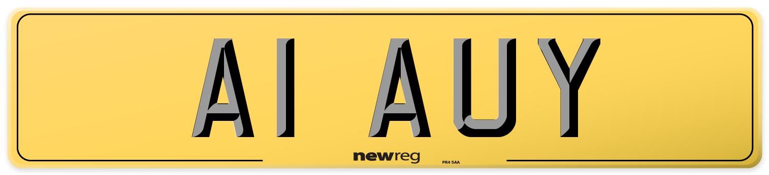 A1 AUY Rear Number Plate