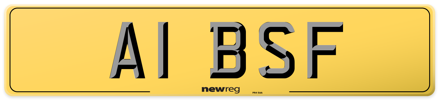 A1 BSF Rear Number Plate