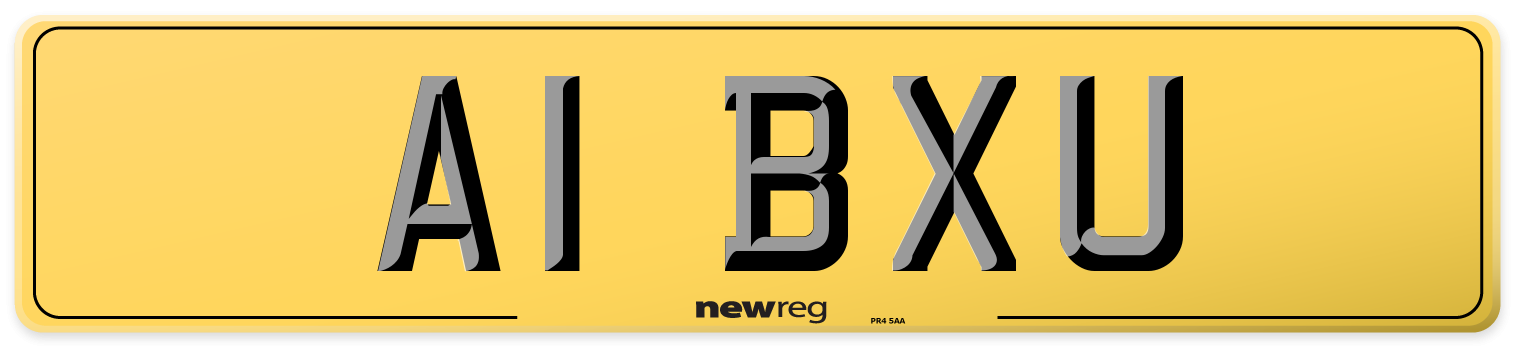 A1 BXU Rear Number Plate