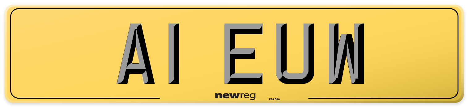 A1 EUW Rear Number Plate