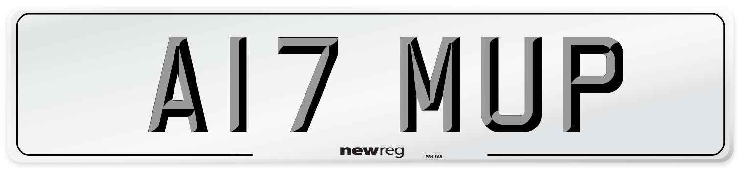 A17 MUP Front Number Plate