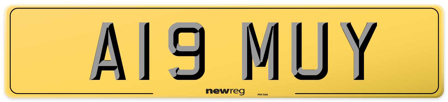 A19 MUY Rear Number Plate