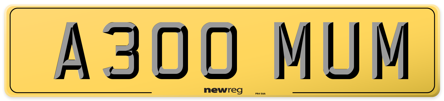 A300 MUM Rear Number Plate