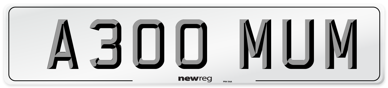 A300 MUM Front Number Plate