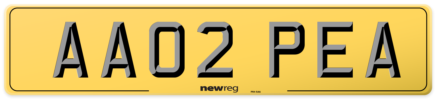AA02 PEA Rear Number Plate