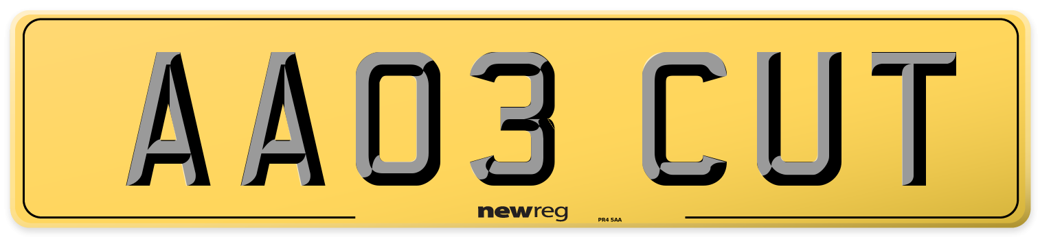 AA03 CUT Rear Number Plate