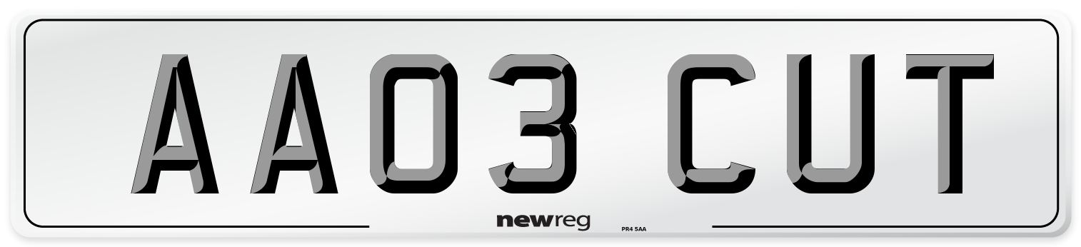 AA03 CUT Front Number Plate
