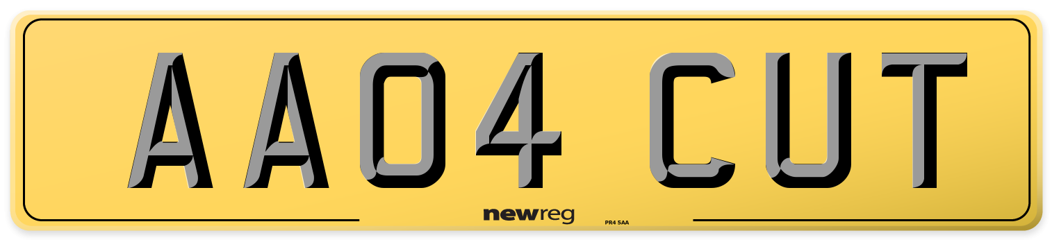 AA04 CUT Rear Number Plate