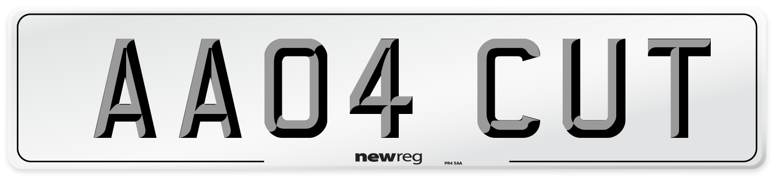 AA04 CUT Front Number Plate