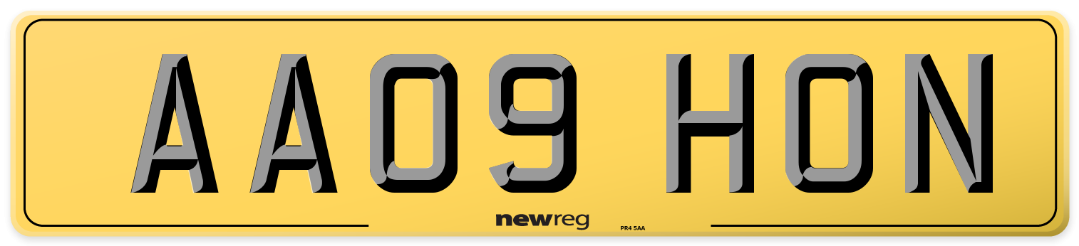 AA09 HON Rear Number Plate