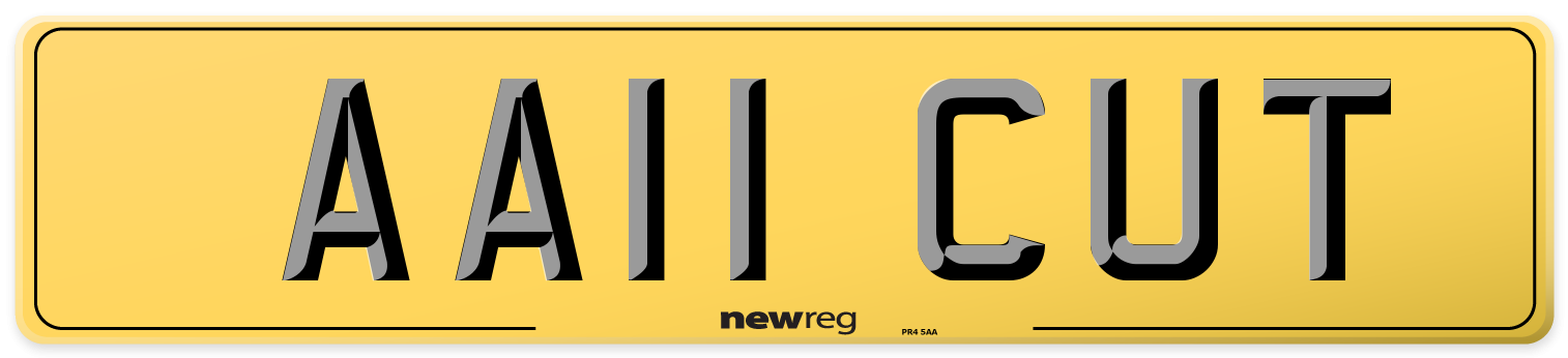 AA11 CUT Rear Number Plate