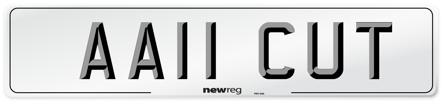 AA11 CUT Front Number Plate