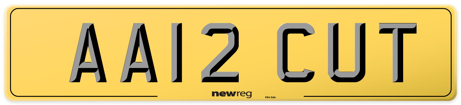 AA12 CUT Rear Number Plate